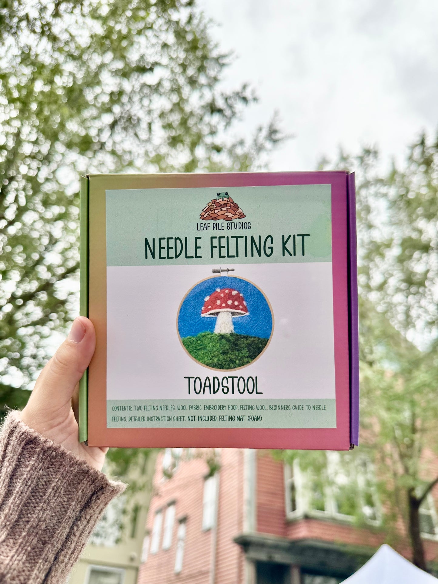 Toadstool Felting Kit