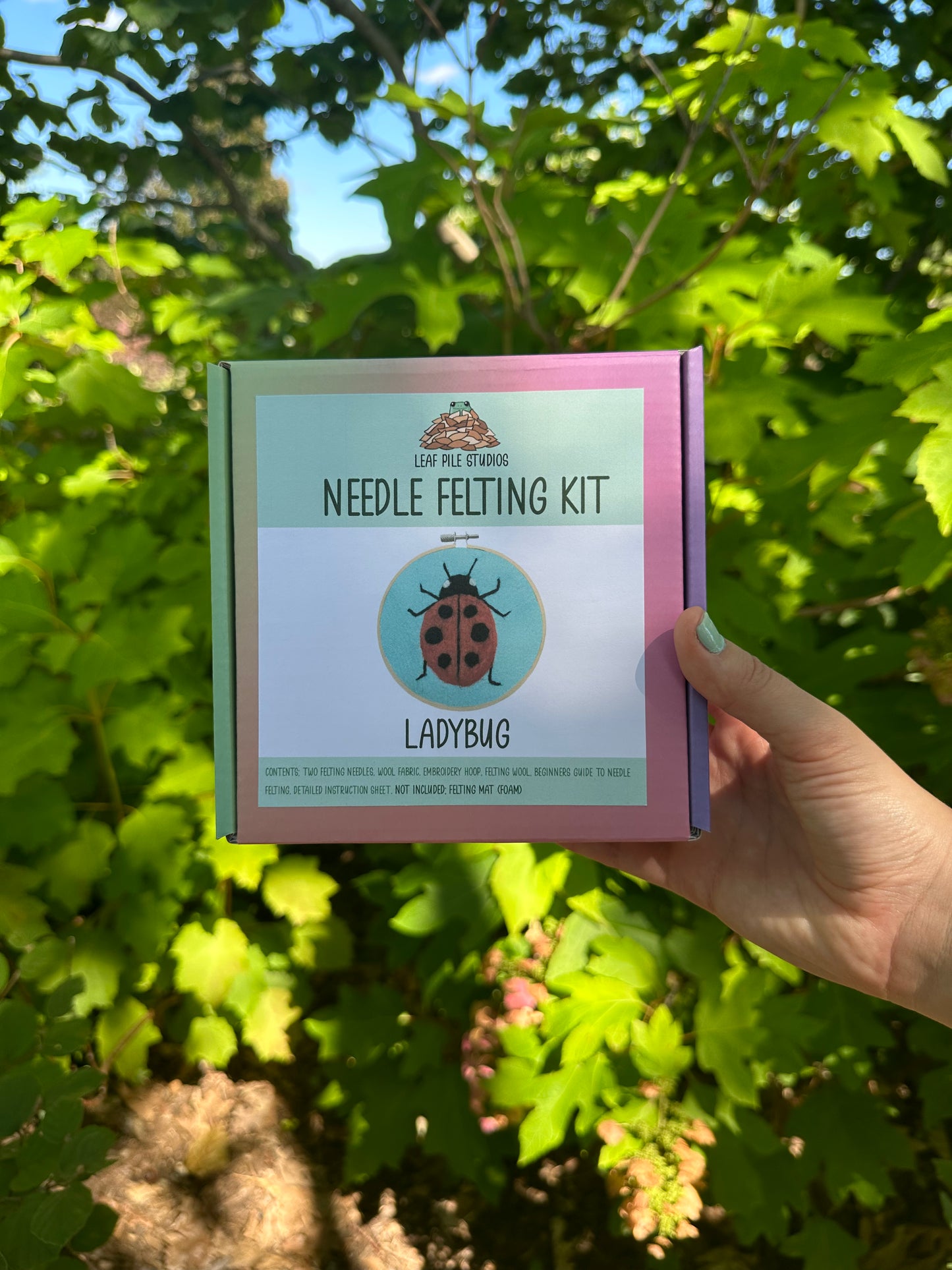 Ladybug Felting Kit