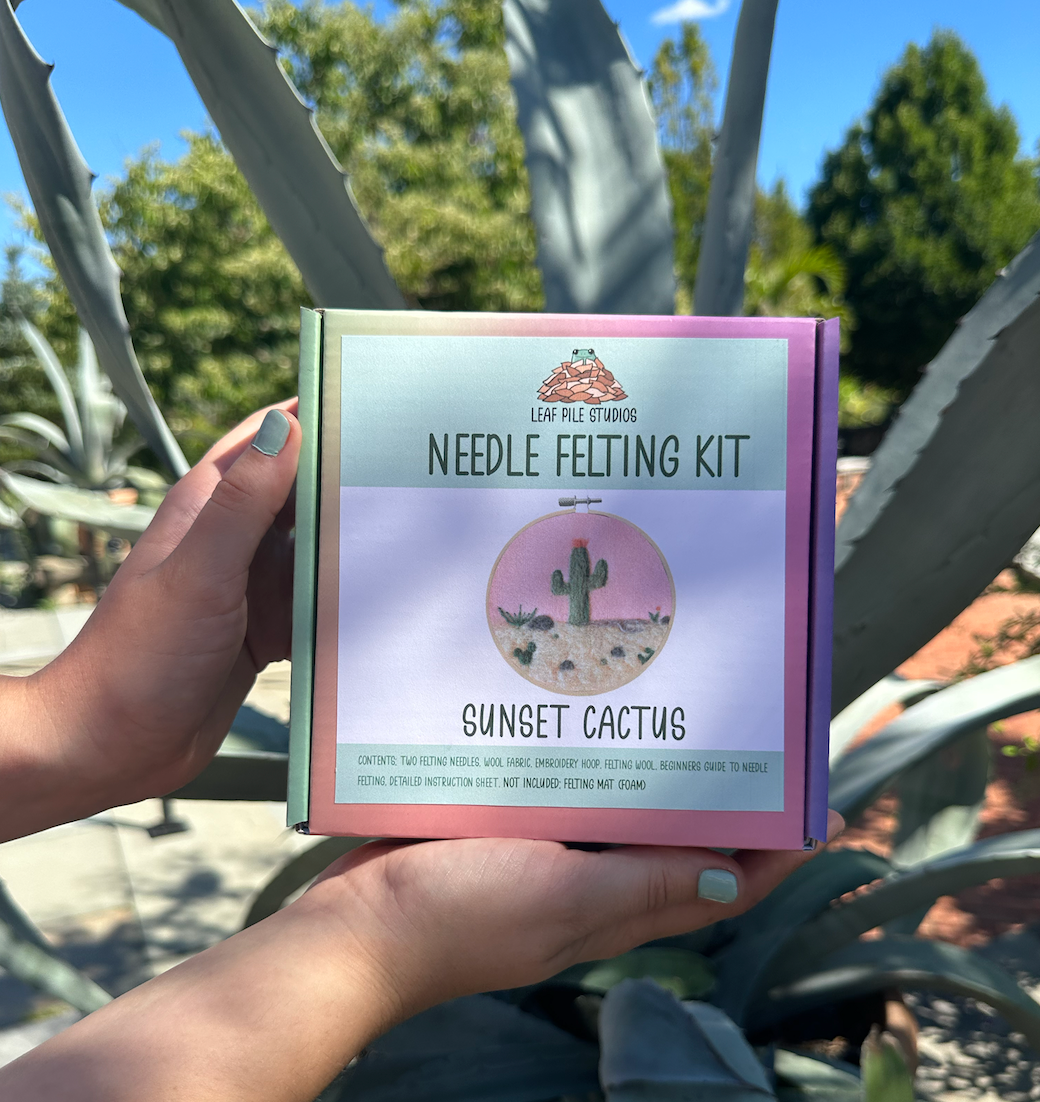 Cactus Felting Kit